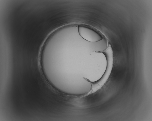 X0000100490832200807111121