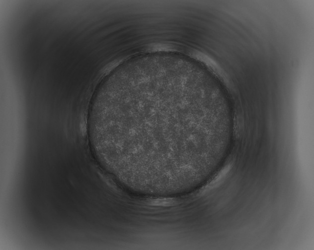 X0000100490833200807111121