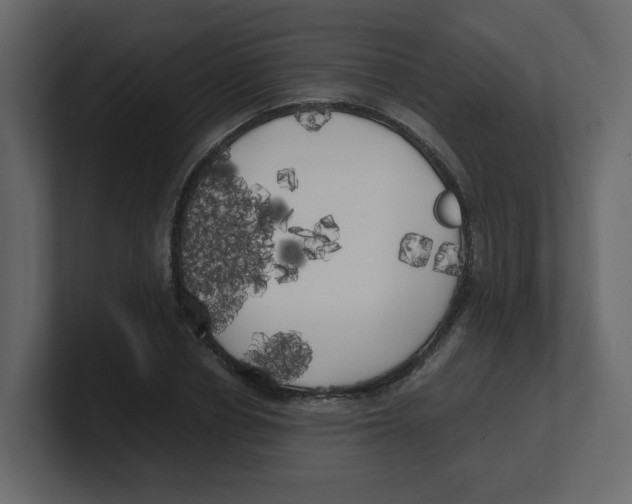 X0000100490834200807111121