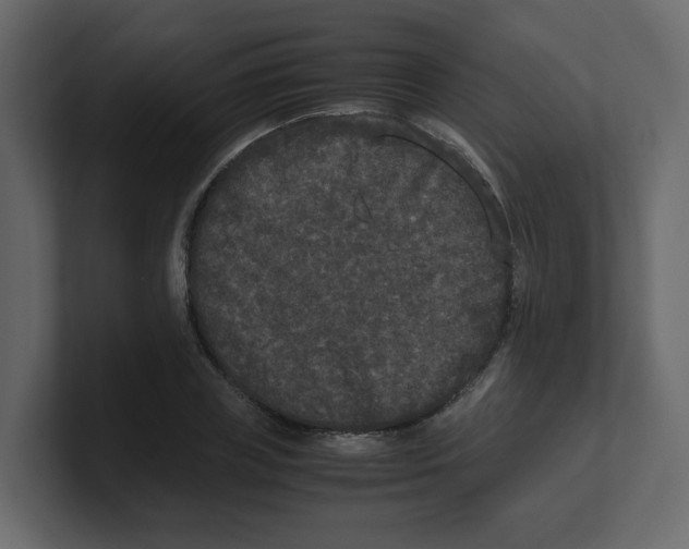 X0000100490835200807111121