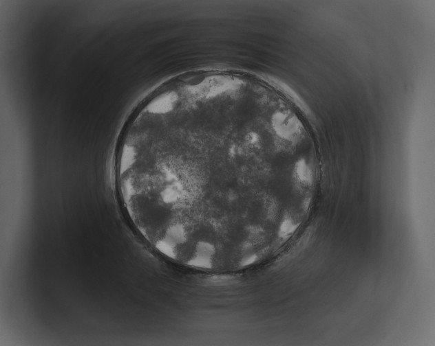 X0000100490839200807111121