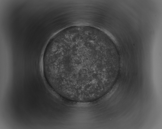 X0000100490840200807111121