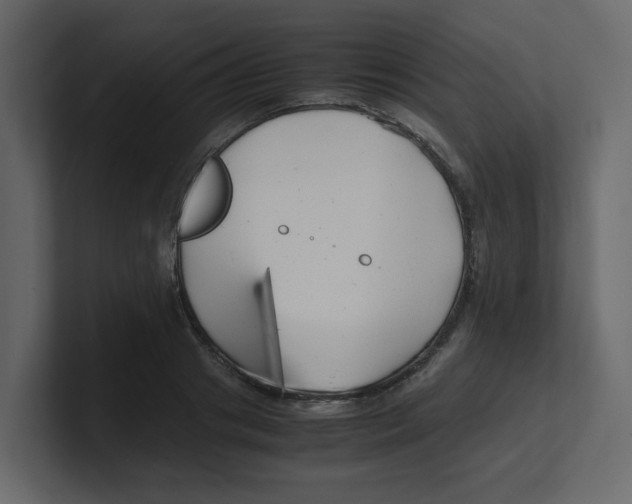 X0000100490841200807111121