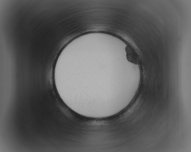 X0000100490842200807111121
