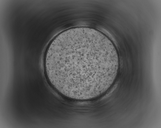 X0000100490843200807111121