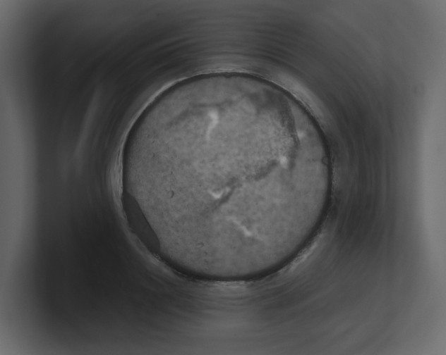 X0000100490844200807111121