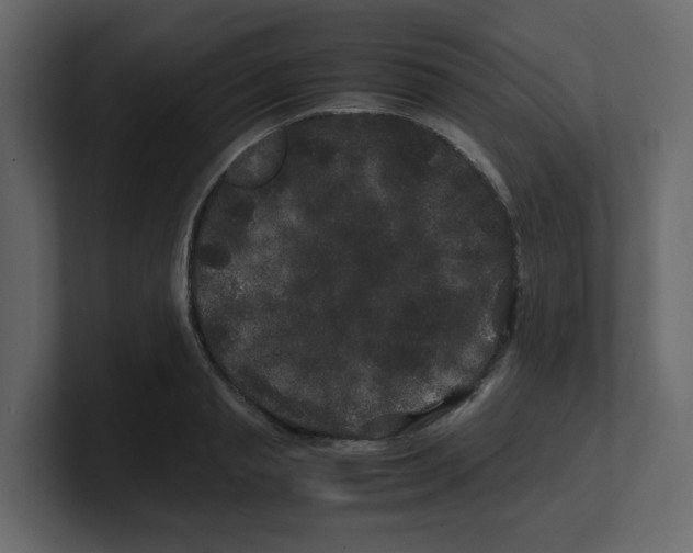 X0000100490845200807111121