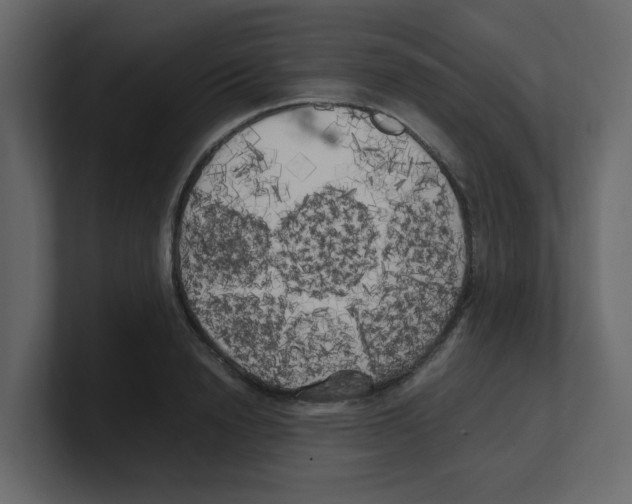 X0000100490846200807111121