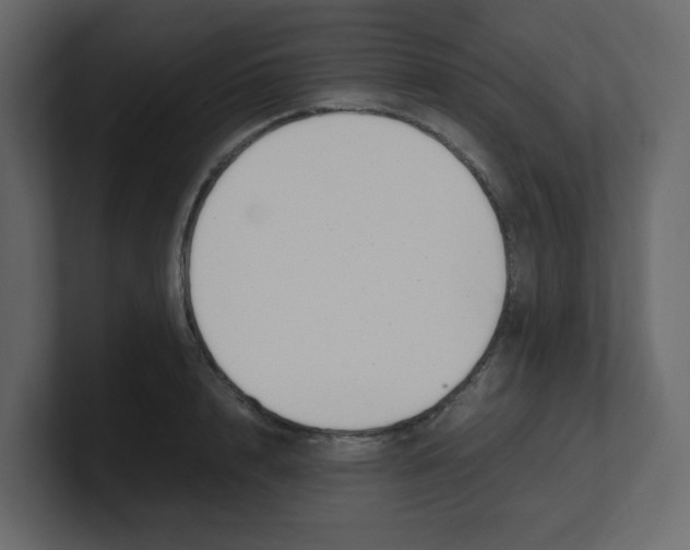 X0000100490848200807111121