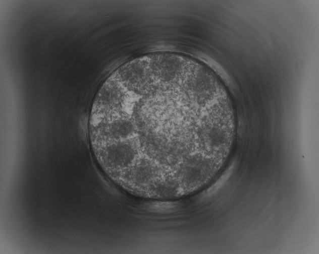 X0000100490849200807111121
