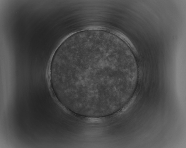 X0000100490852200807111121