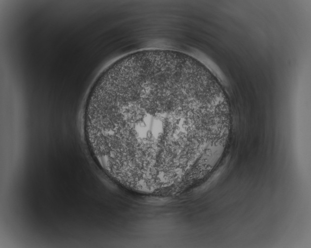 X0000100490854200807111121