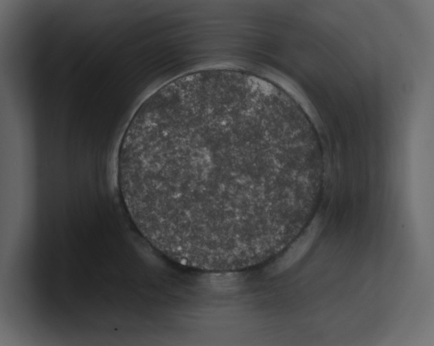 X0000100490858200807111121