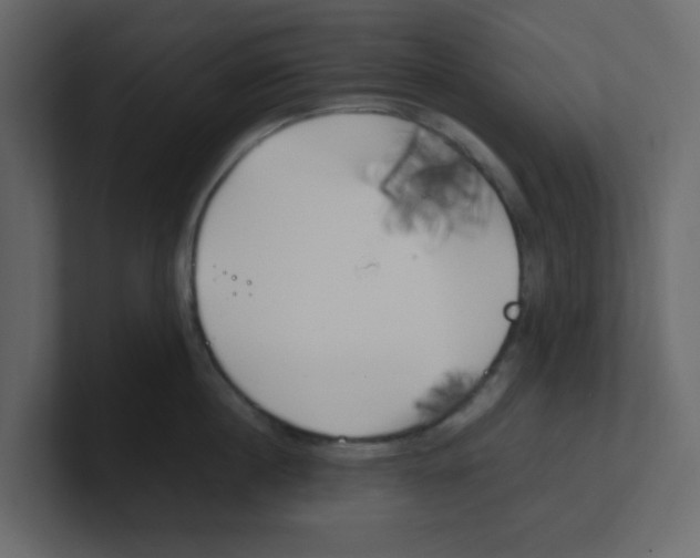 X0000100490860200807111121