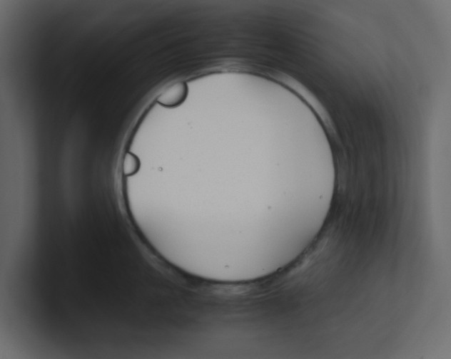 X0000100490861200807111121