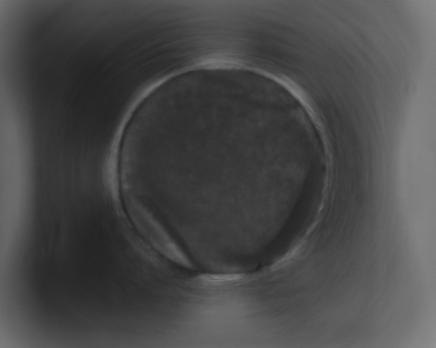 X0000100490864200807111121