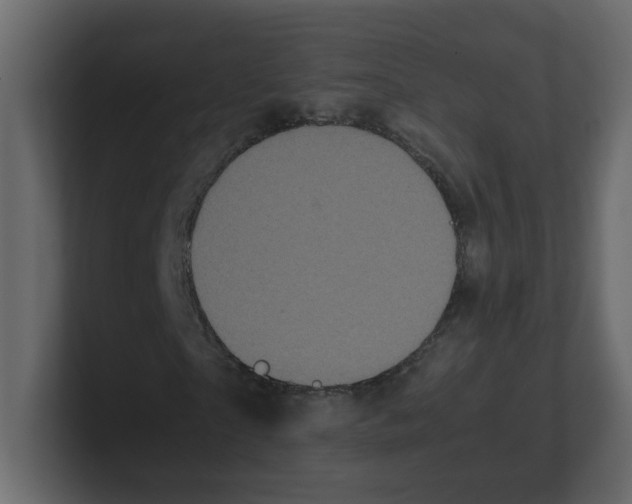 X0000100490865200807111120