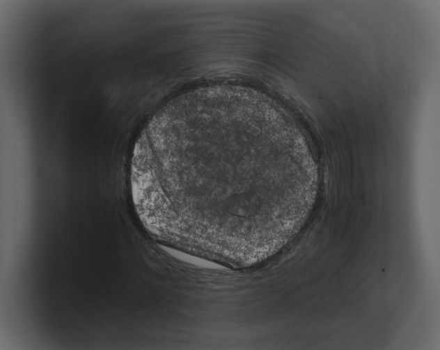 X0000100490868200807111120