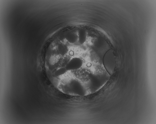 X0000100490871200807111120