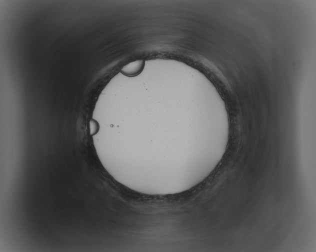 X0000100490872200807111120