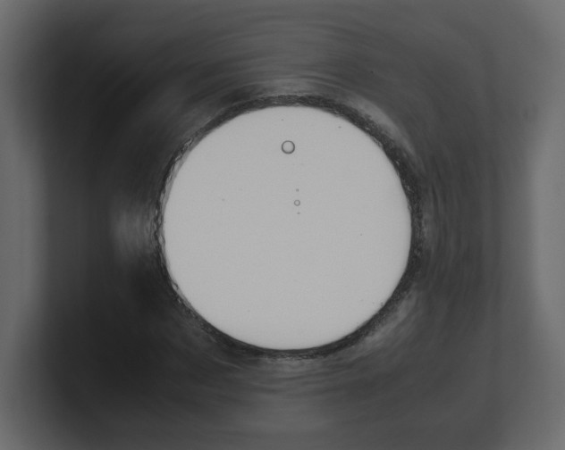 X0000100490873200807111120