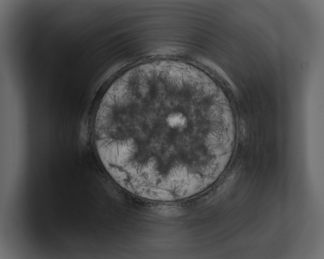 X0000100490874200807111120