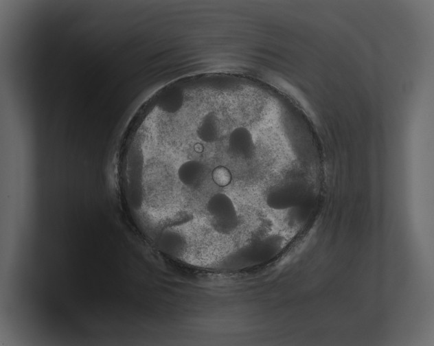 X0000100490875200807111120