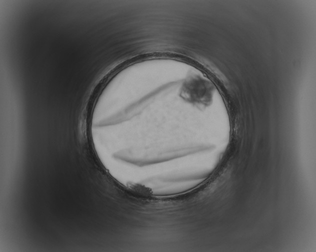 X0000100490877200807111120