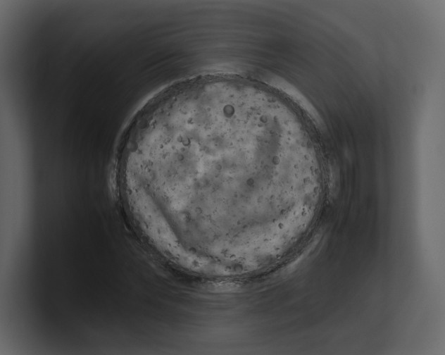 X0000100490878200807111120