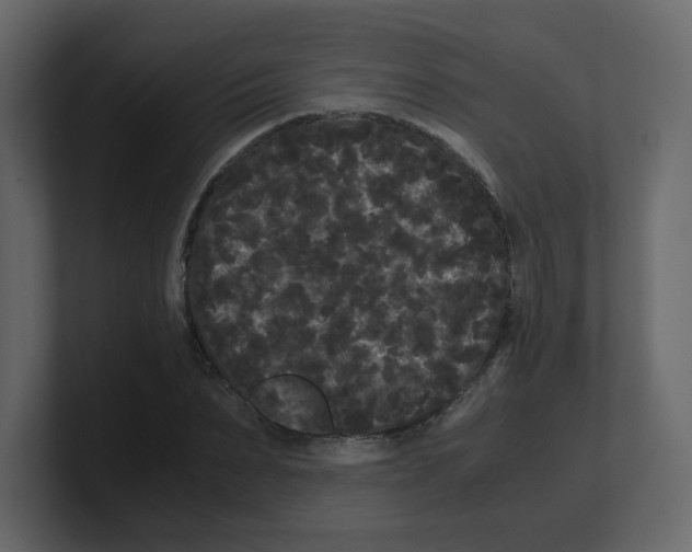 X0000100490879200807111120
