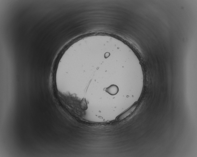 X0000100490880200807111120