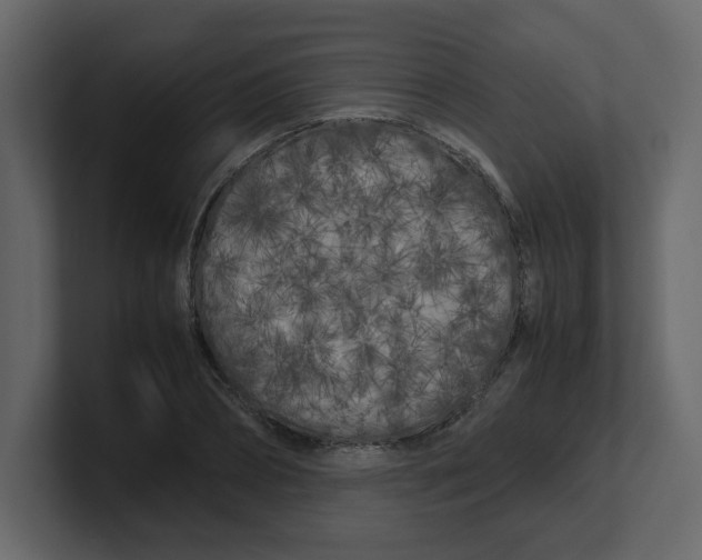 X0000100490882200807111120
