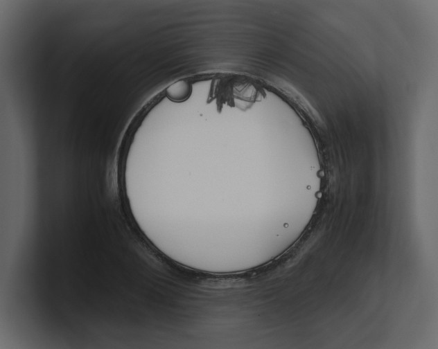 X0000100490884200807111120