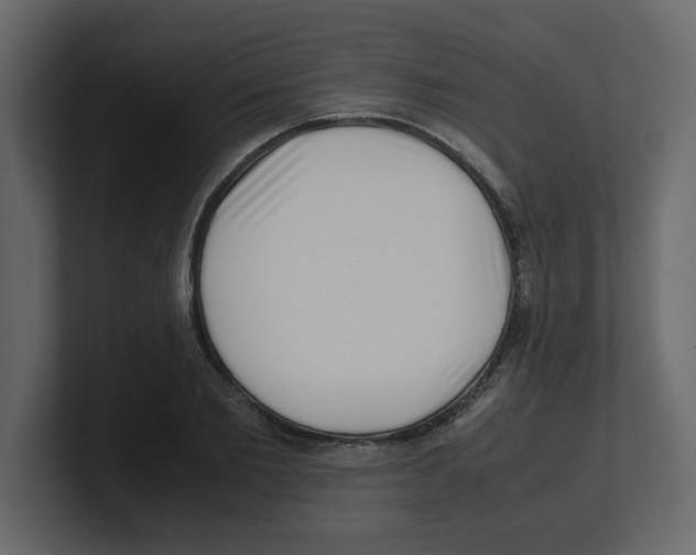X0000100490885200807111120