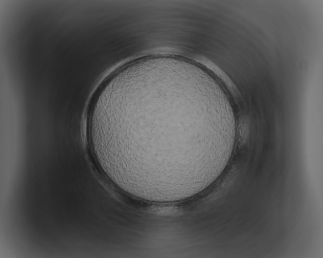 X0000100490886200807111120