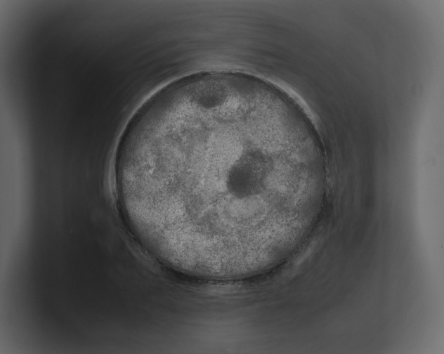 X0000100490887200807111120