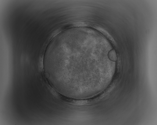 X0000100490889200807111120