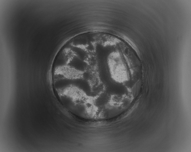 X0000100490891200807111120