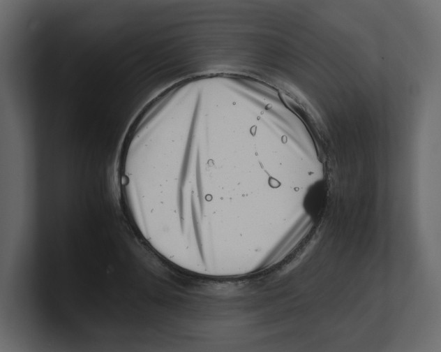 X0000100490892200807111120