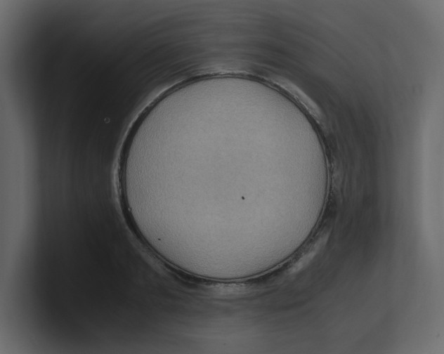 X0000100490893200807111120
