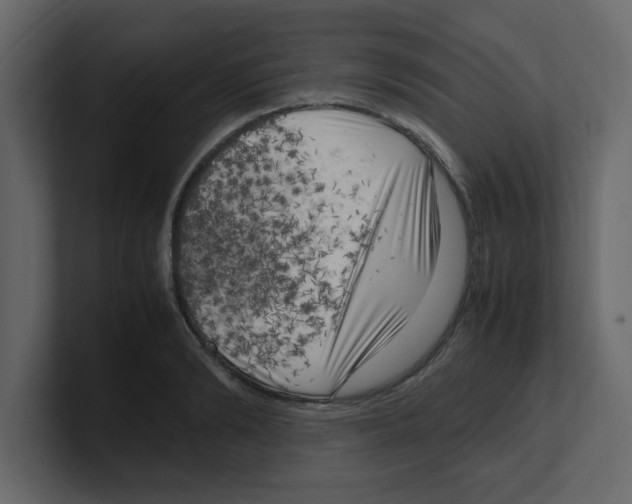 X0000100490894200807111120