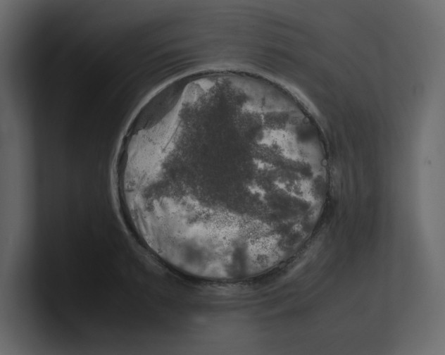 X0000100490895200807111120