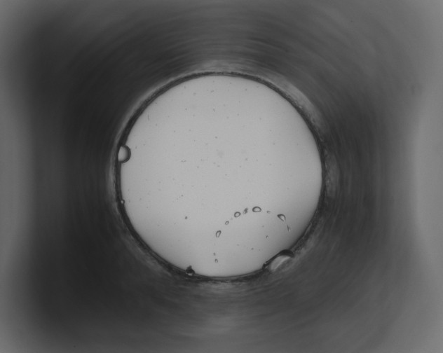 X0000100490896200807111120