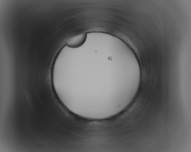 X0000100490898200807111120