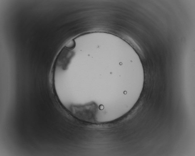 X0000100490900200807111120