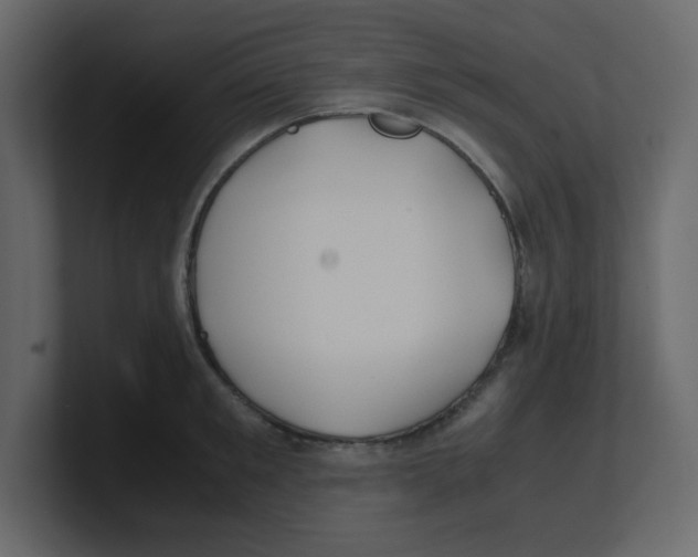 X0000100490901200807111120