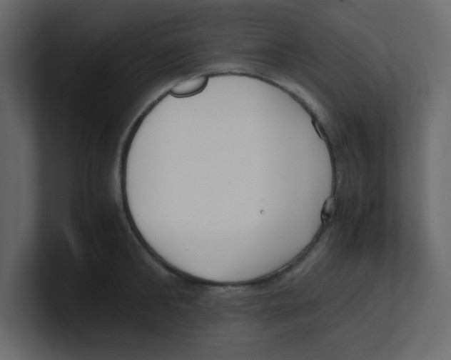 X0000100490902200807111120