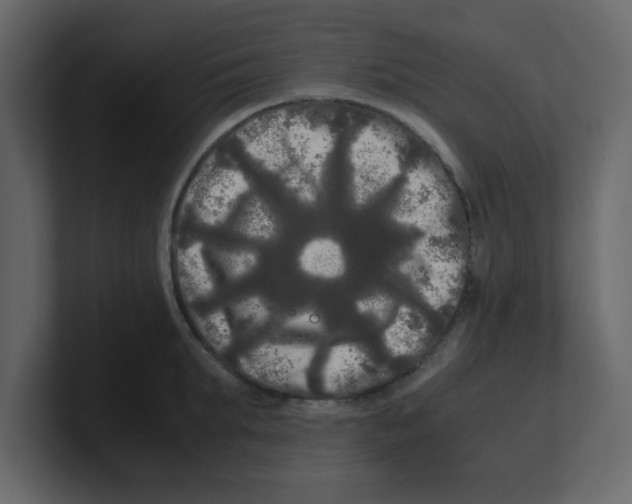 X0000100490903200807111120