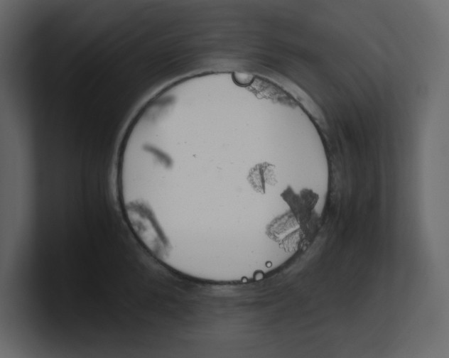 X0000100490904200807111120