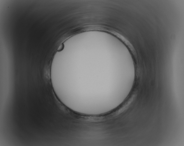 X0000100490905200807111120